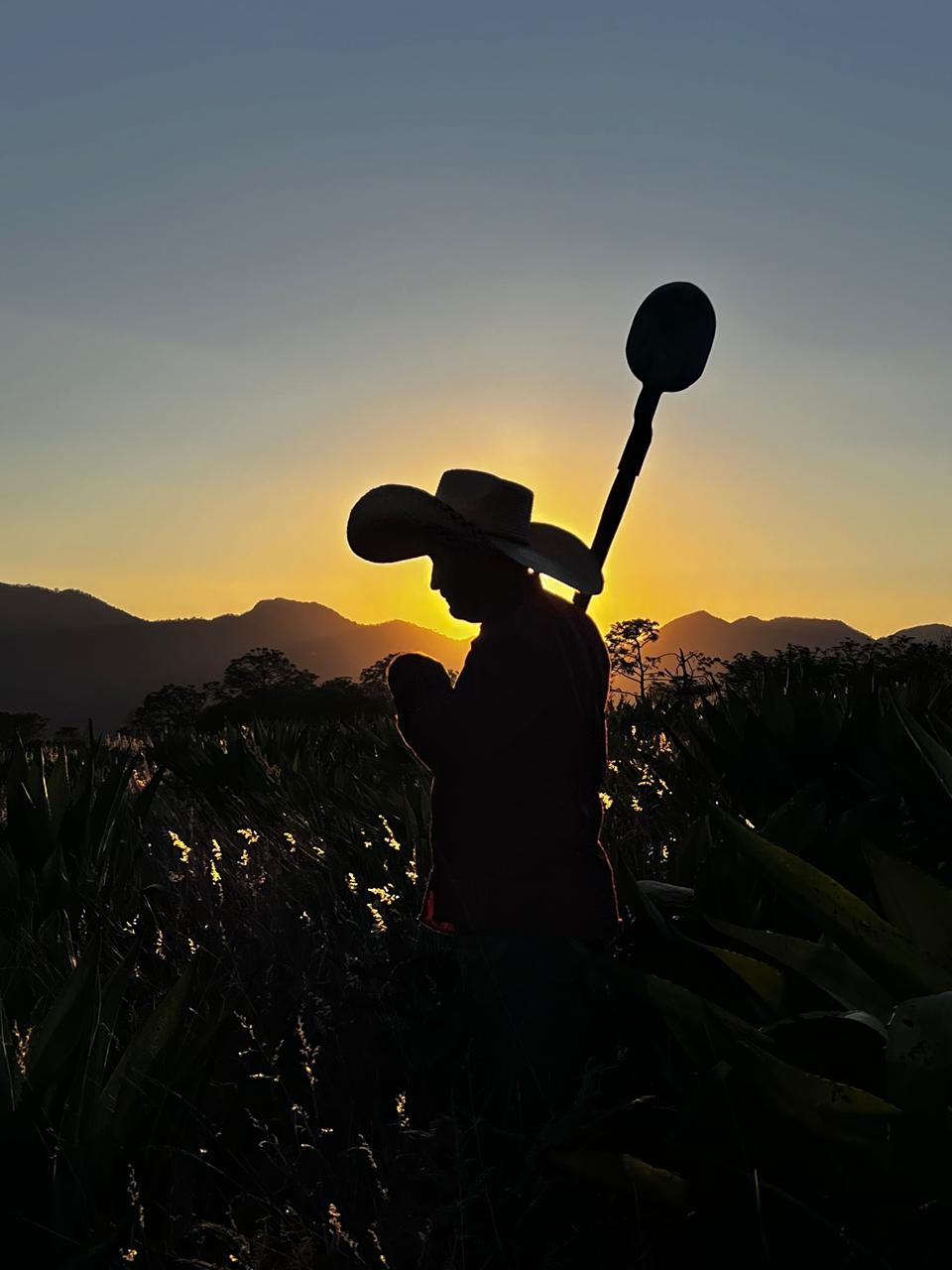 Jimador al atardecer — Sierra de Mascota