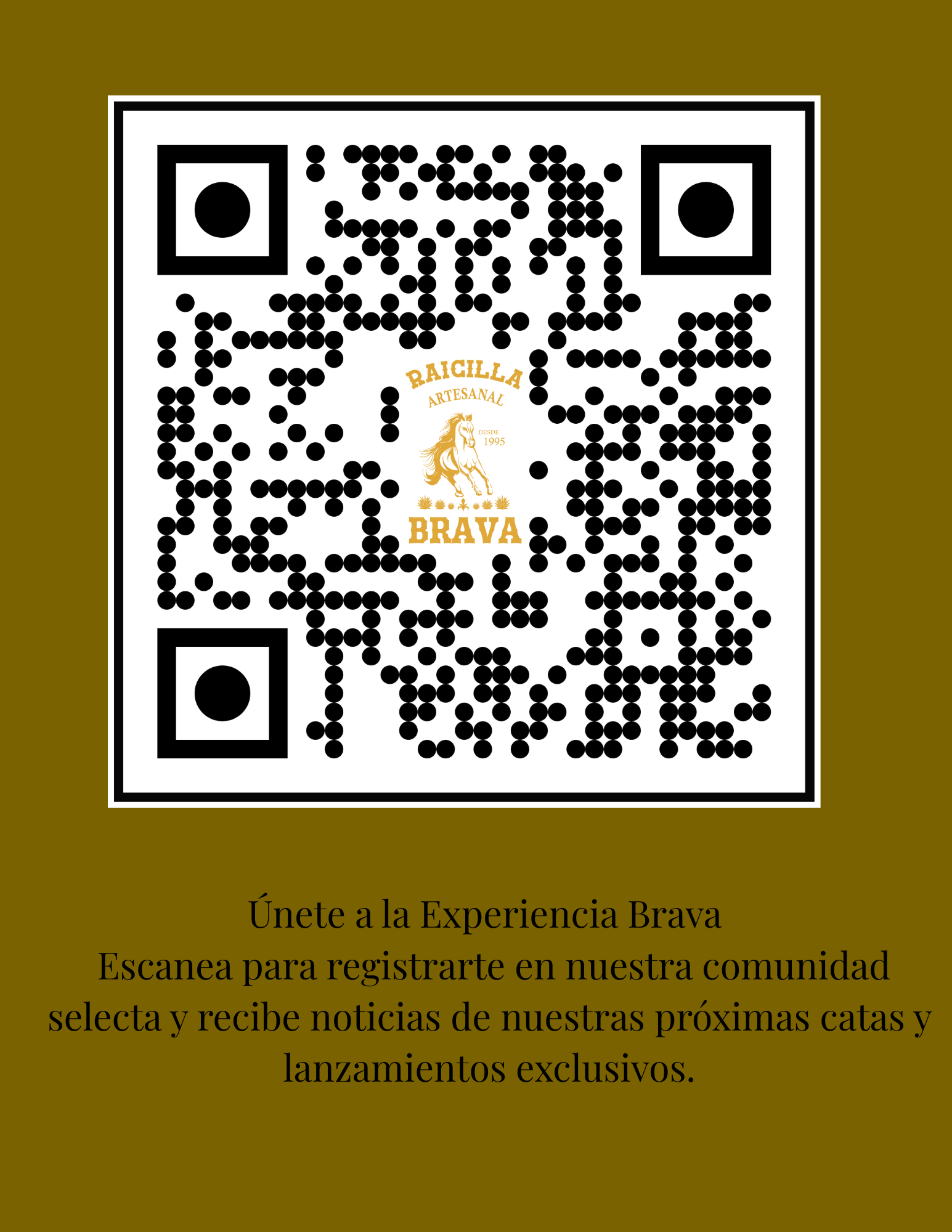 QR Brava Raicilla
